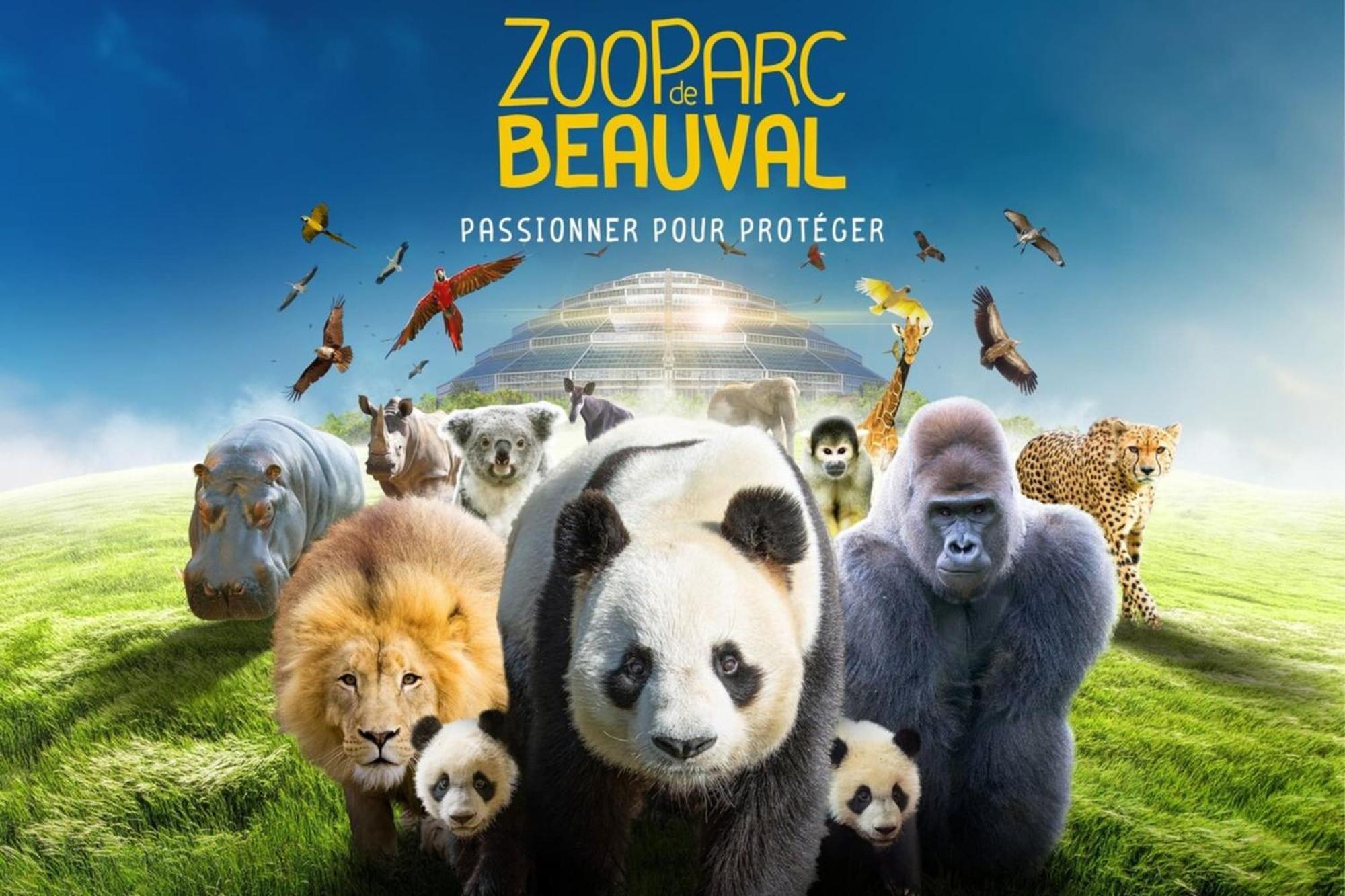 Les Pivoines Au Calme 15Min Du Zoo Villa Meusnes Ngoại thất bức ảnh